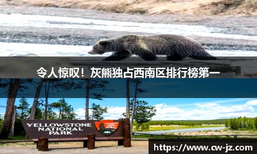 令人惊叹！灰熊独占西南区排行榜第一