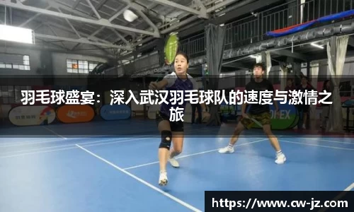 球速体育平台登录入口