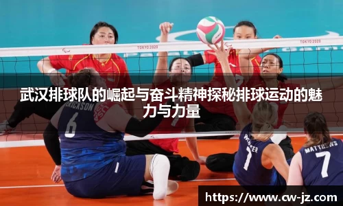 球速体育