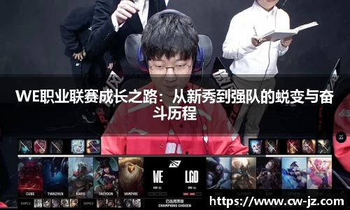 球速体育官方