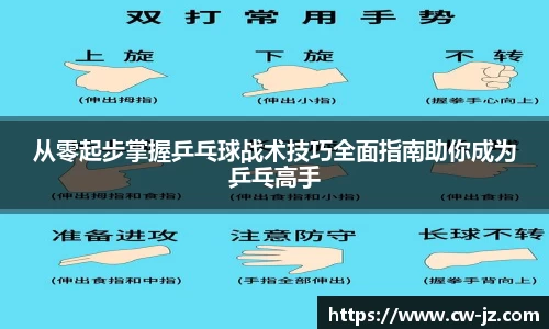 从零起步掌握乒乓球战术技巧全面指南助你成为乒乓高手